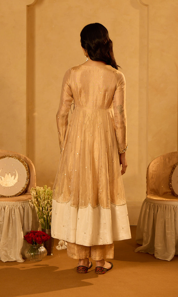 Dilbaro Tissue Embroidered Angrakha Anarkali with Palazzo Abnd Dupatta (set of 3)