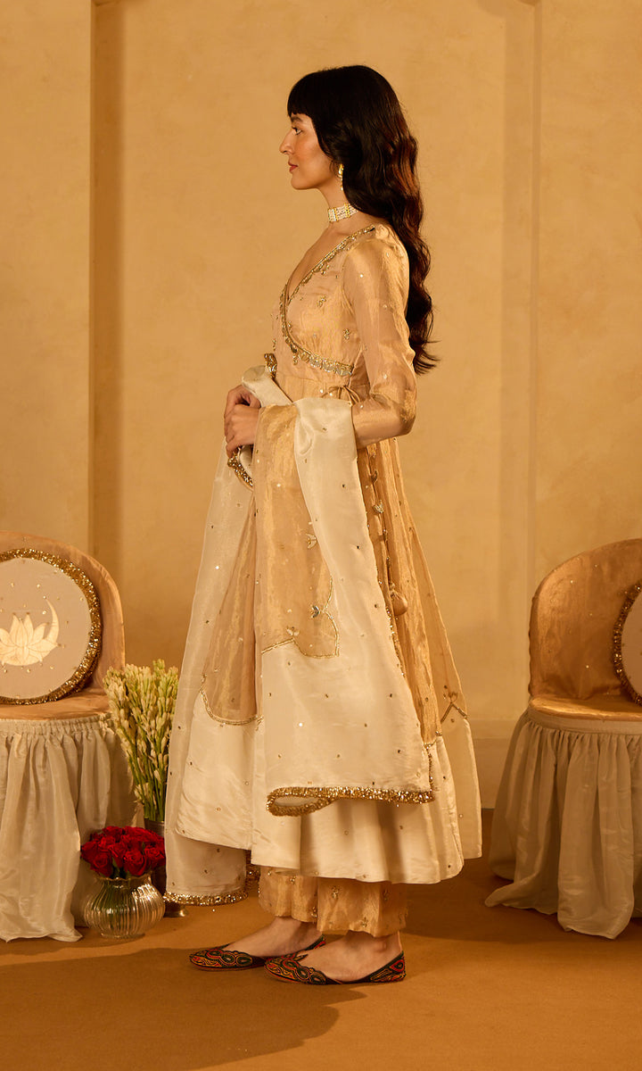 Dilbaro Tissue Embroidered Angrakha Anarkali with Palazzo Abnd Dupatta (set of 3)