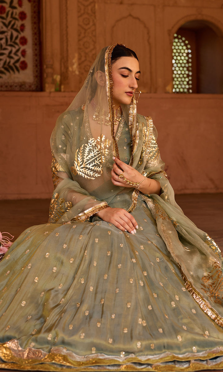 Phillauri 2 ash grey embroidered tissue double layered lehenga with blouse and dupatta (set of 3)