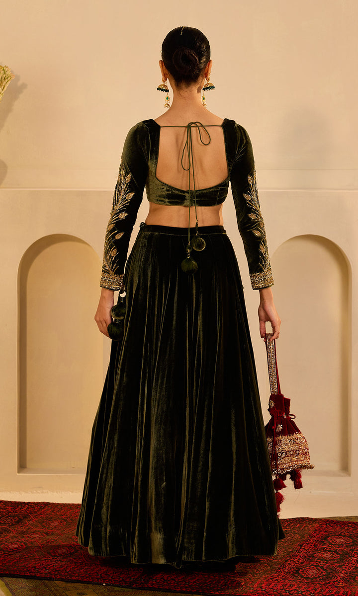 Dilbaro mughals olive green silk velvet embroidered lehenga with blouse and shawl (set of 3)
