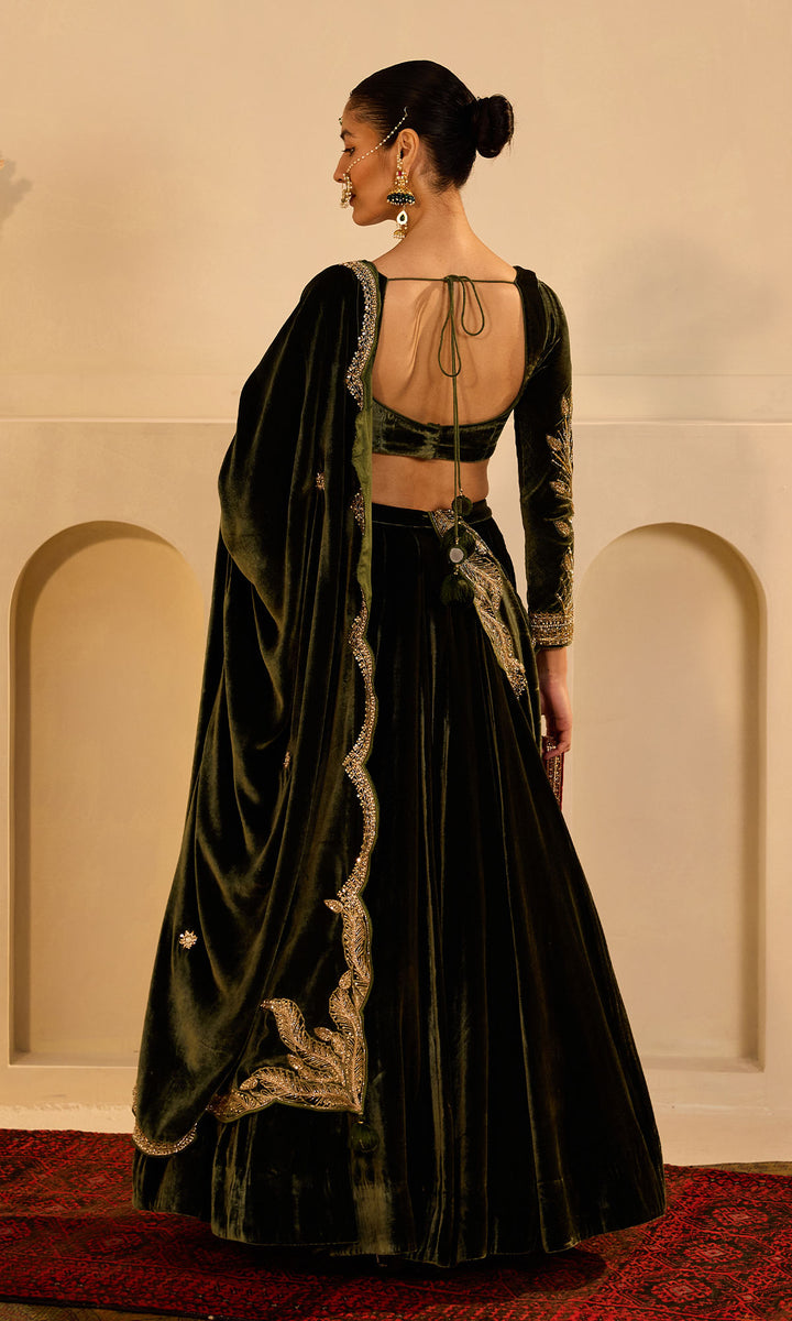 Dilbaro mughals olive green silk velvet embroidered lehenga with blouse and shawl (set of 3)