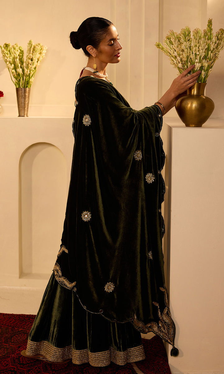 Dilbaro Mughals Olive Green Scalloped Shawl