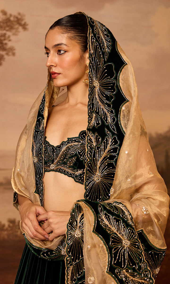 Dilbaro Embroidered Velvets Green Silk Velvet Lehenga with Cutwork Blouse and Dupatta (Set of 3)