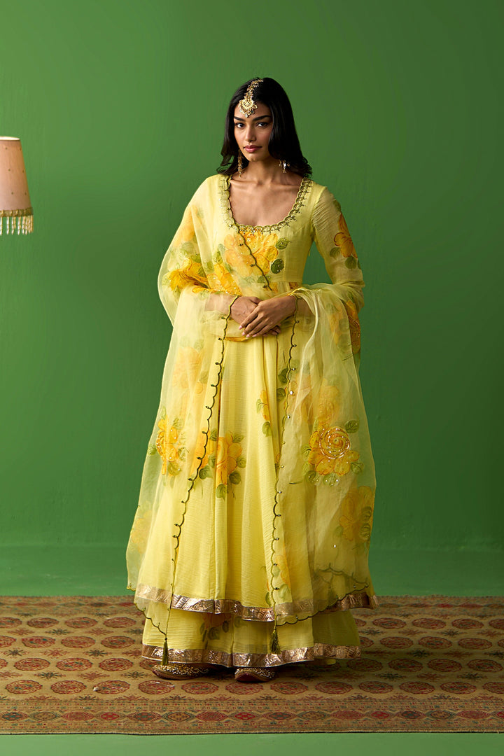 Sirat Vol. 2 Mustard All Over Floral Organza Hand Painted Duaptta