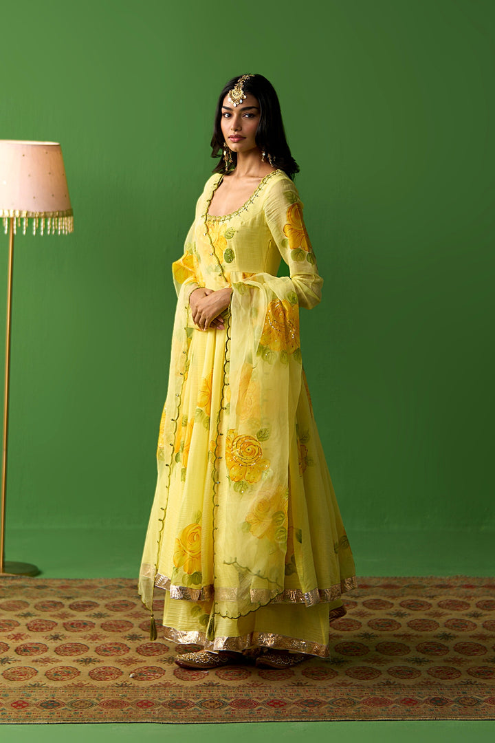 Sirat Vol. 2 Mustard All Over Floral Organza Hand Painted Duaptta