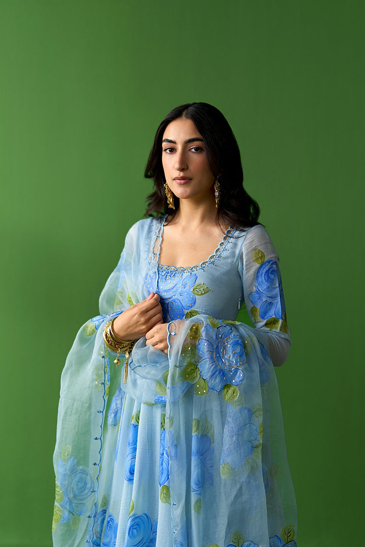 Sirat Vol. 2 Powdre Blue Powder All Over Floral Organza Hand Painted Duaptta