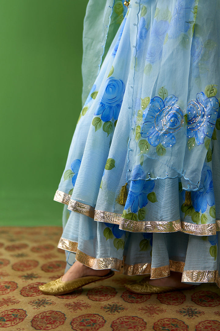 Sirat Vol. 2 Powdre Blue Powder All Over Floral Organza Hand Painted Duaptta