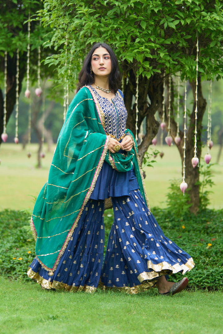 Phillauri Vol 3 blue embroidered sharara set ( set of 3)